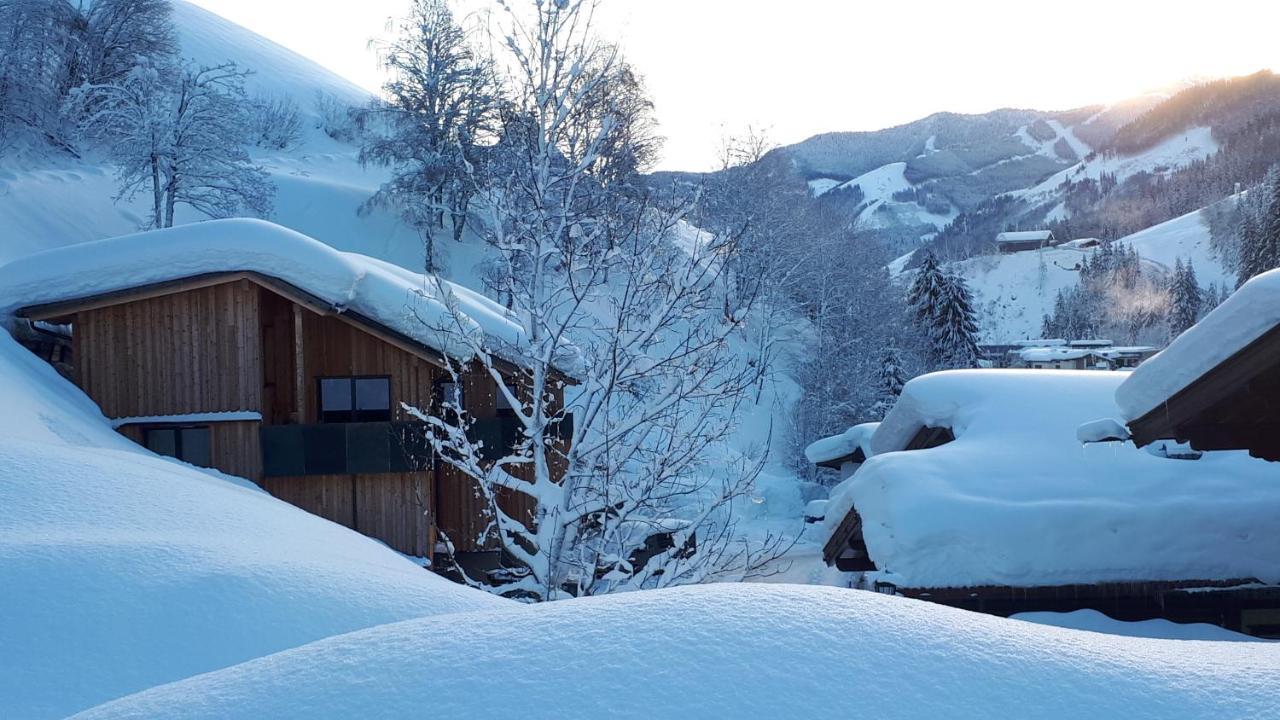 Chalet Ablon Saalbach-Hinterglemm Dış mekan fotoğraf